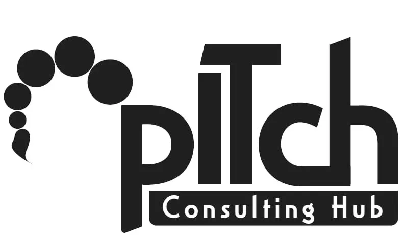 Petrovich IT Consulting Hub
